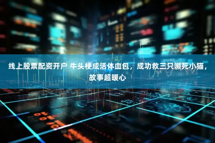 线上股票配资开户 牛头梗成活体血包，成功救三只濒死小猫，故事超暖心