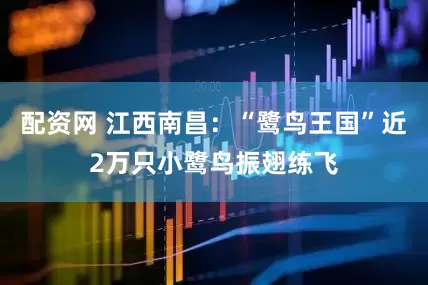 配资网 江西南昌：“鹭鸟王国”近2万只小鹭鸟振翅练飞
