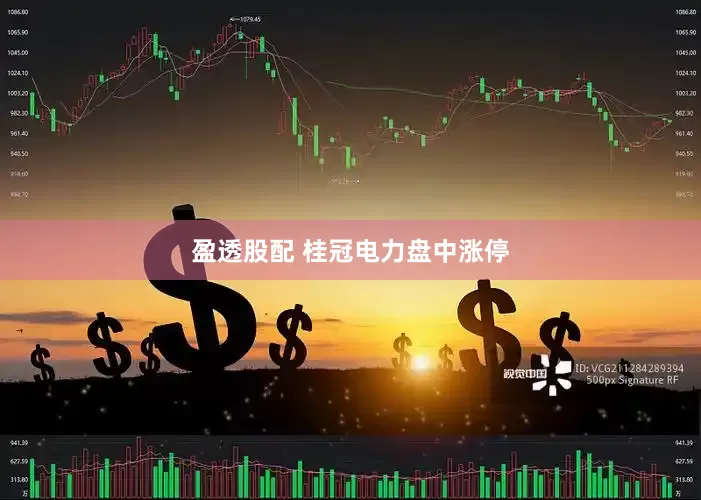 盈透股配 桂冠电力盘中涨停