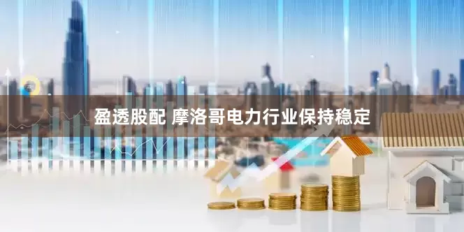 盈透股配 摩洛哥电力行业保持稳定